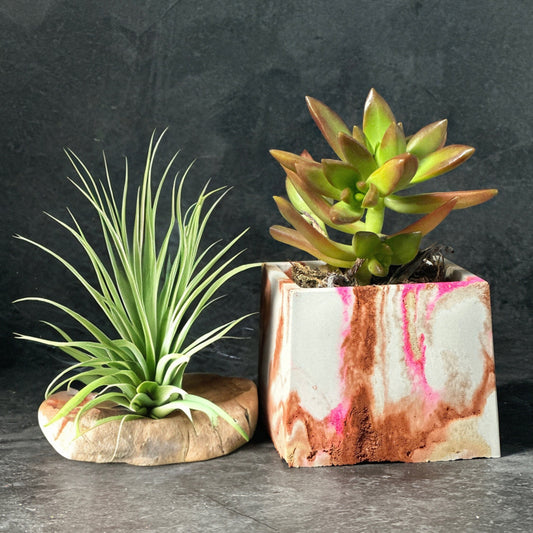 Artisan Marbled Concrete Planters | Succulent Planter | Pencil Brush Holder | Home Decor |